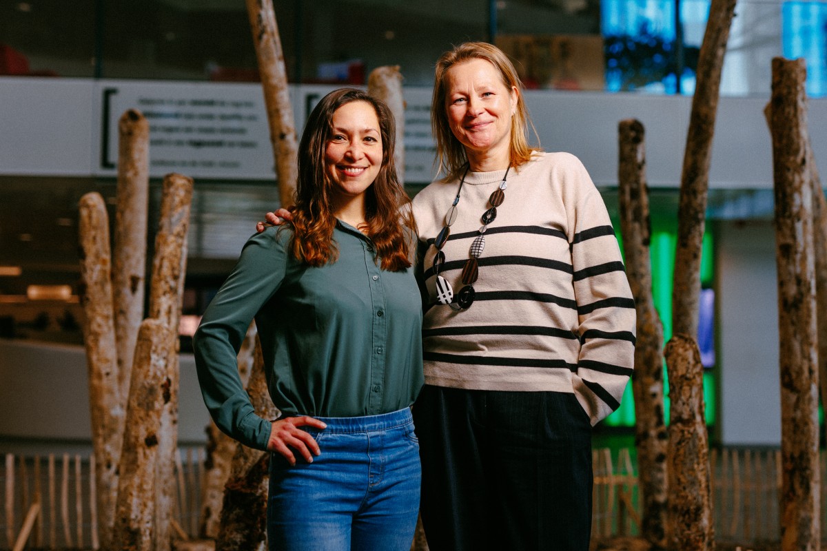 Achtergrondafbeelding Van peukenboom naar peukenbos: hoe een opruiminitiatief een activistisch kunstwerk werd