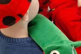 Springcultuur Producties