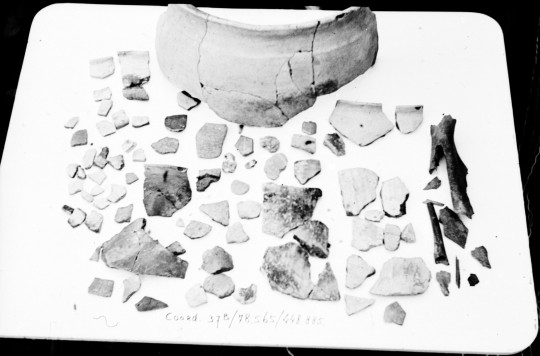 Afbeelding Historische Vereniging pleit voor goed archeologisch onderzoek