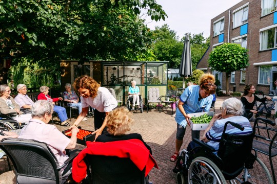 Afbeelding Rijk Zwaan sponsort dansprojecten voor ouderen