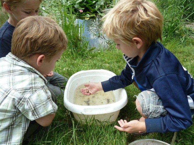 Onderzoeken en ontwerpen met kleuters