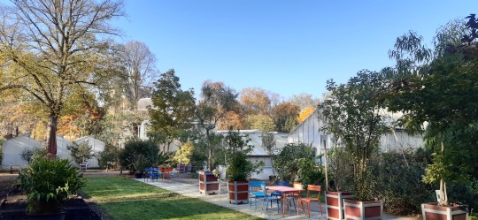 Afbeelding Schilderworkshop met Cast-Art in de Botanische Tuin