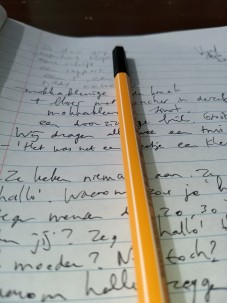 Afbeelding Liesbeth Mende