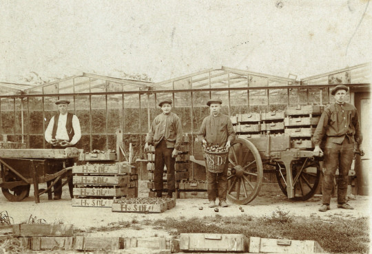 Afbeelding Genealogisch inloopspreekuur