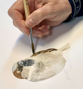 Afbeelding Cursus Aquarel voor beginners door Peter Keijzer
