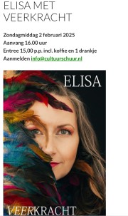 Afbeelding Theatervoorstelling ‘Veerkracht’