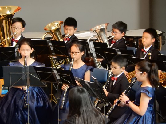 Afbeelding International Summer Music Festival Westland 2025