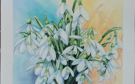 Expositie aquarellen