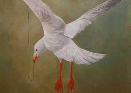 'Meeuw' - een tragikomisch gevecht met de zinloosheid van het bestaan