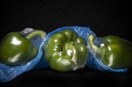 Expositie 'Modern Times'