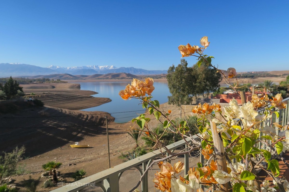 Achtergrondafbeelding De Ararbische Wereld: vaak in het nieuws, toch onbekend
