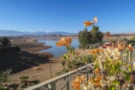 De Ararbische Wereld: vaak in het nieuws, toch onbekend
