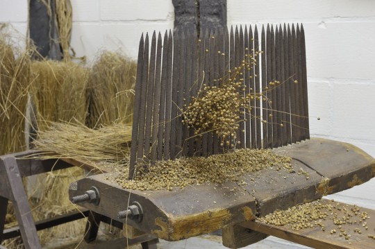 Afbeelding Expositie 'Vlasteelt en Theebukkers - van vlas tot linnen'