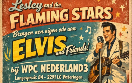 Lesley and the Flaming Stars (Elvis Tribute)
