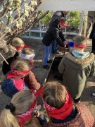 Bezoek Westlands Museum: Erfgoedles Van ruit tot Robot