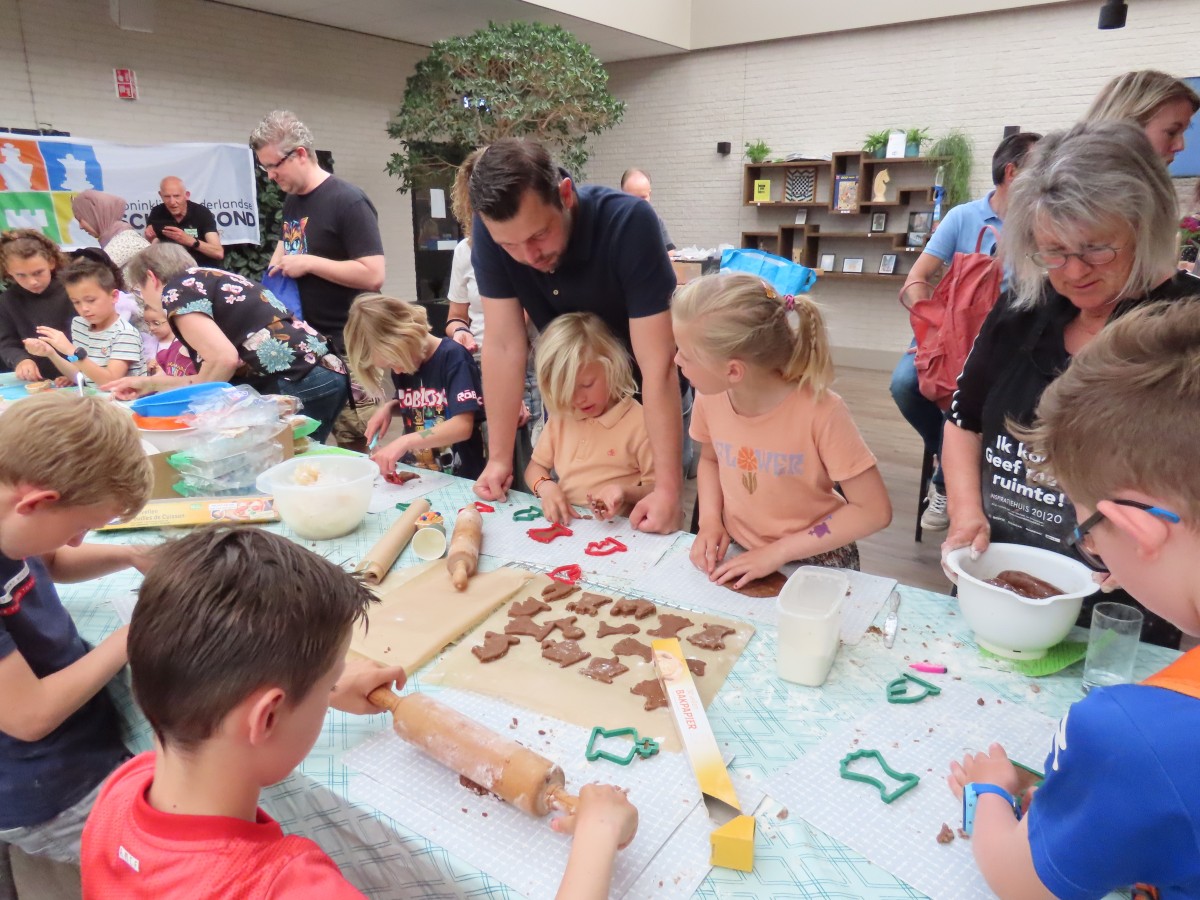 Achtergrondafbeelding 3e Westlands Schoolschaakfestival